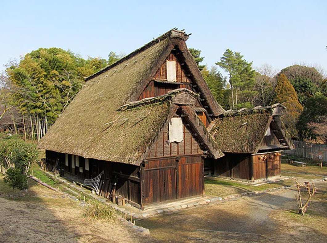 Hattori Ryokuchi Arboretum, Toyonaka, Japan, Japan